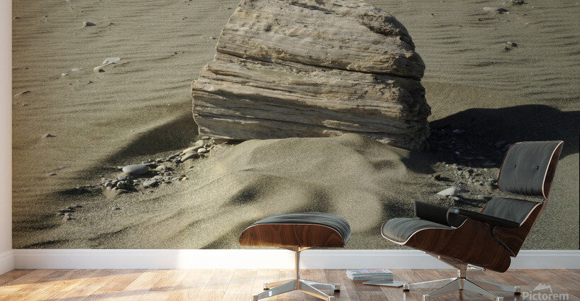 Beach Sculpture Wall Murals