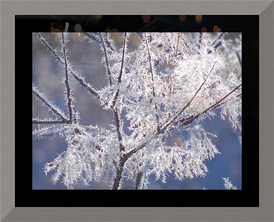 Frozen Fantasy Picture Frame print