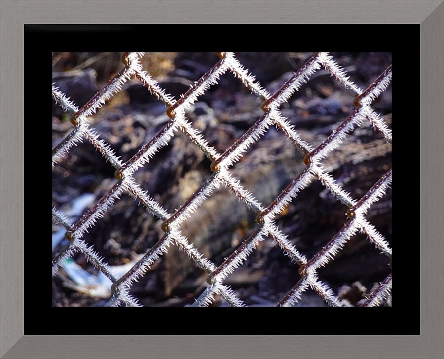 Icy Wire Fence Picture Frame print