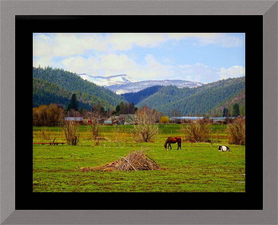 Horse Country Picture Frame print