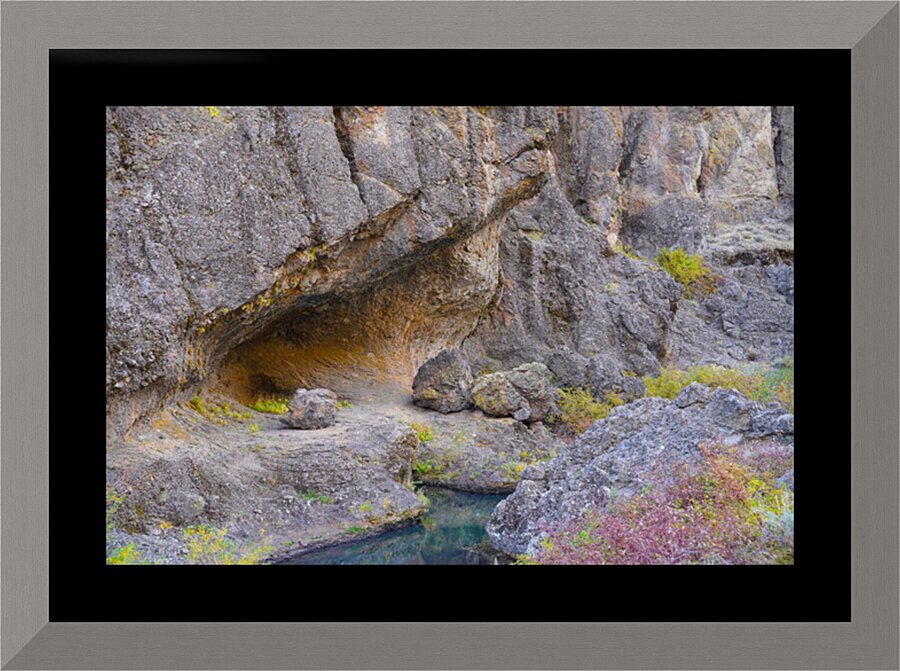Natures Sculpture Picture Frame print