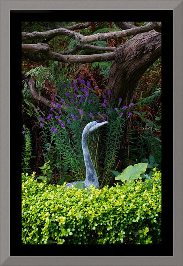Stone Crane in Foliage Picture Frame print