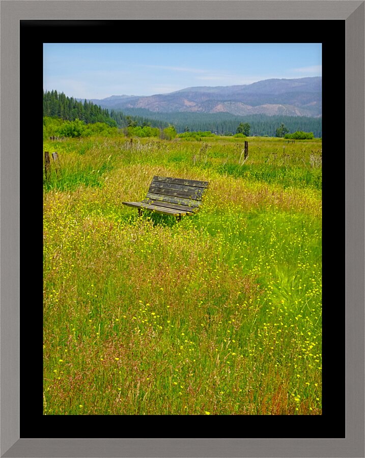 Natures Garden Picture Frame print