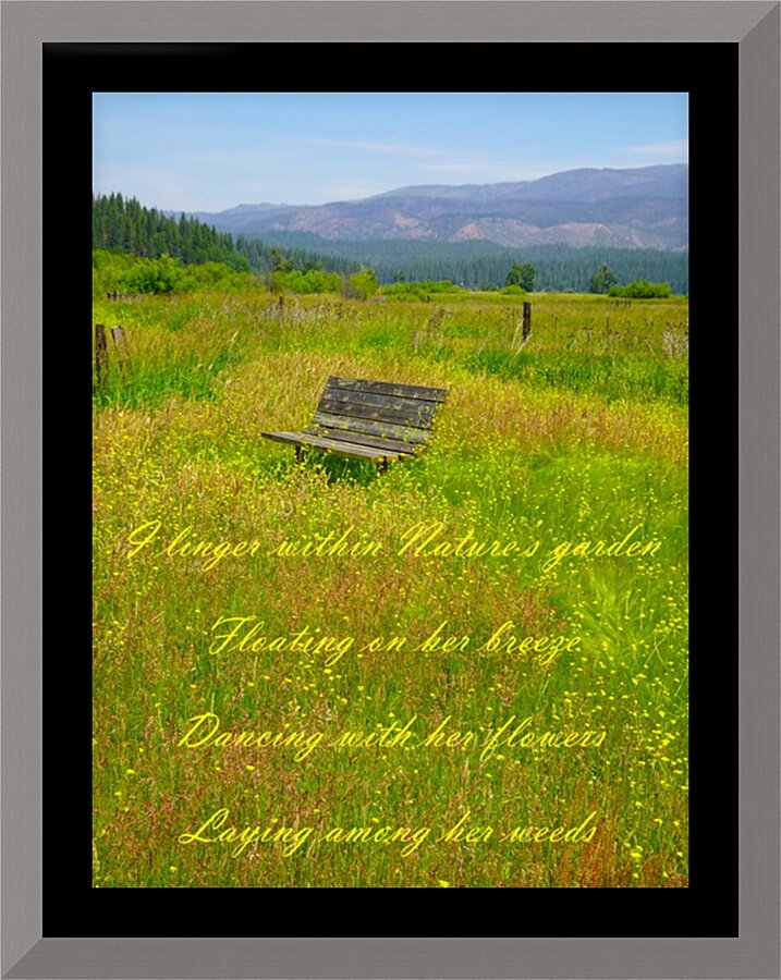 Natures Garden Picture Frame print