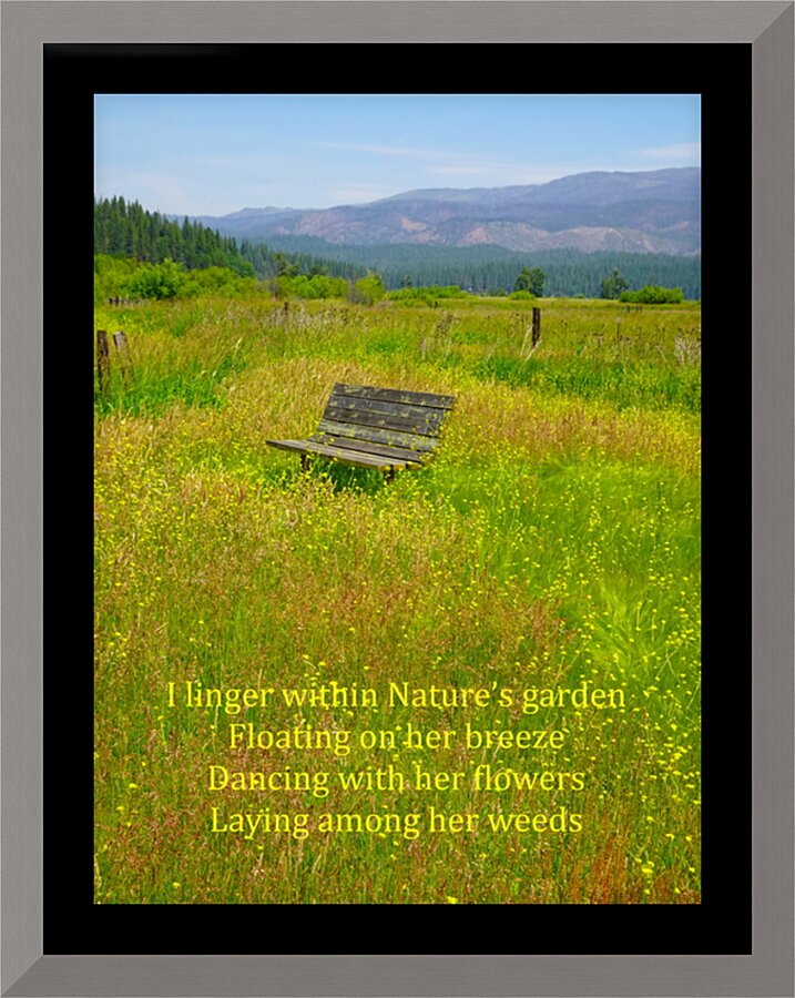 Natures Garden Picture Frame print