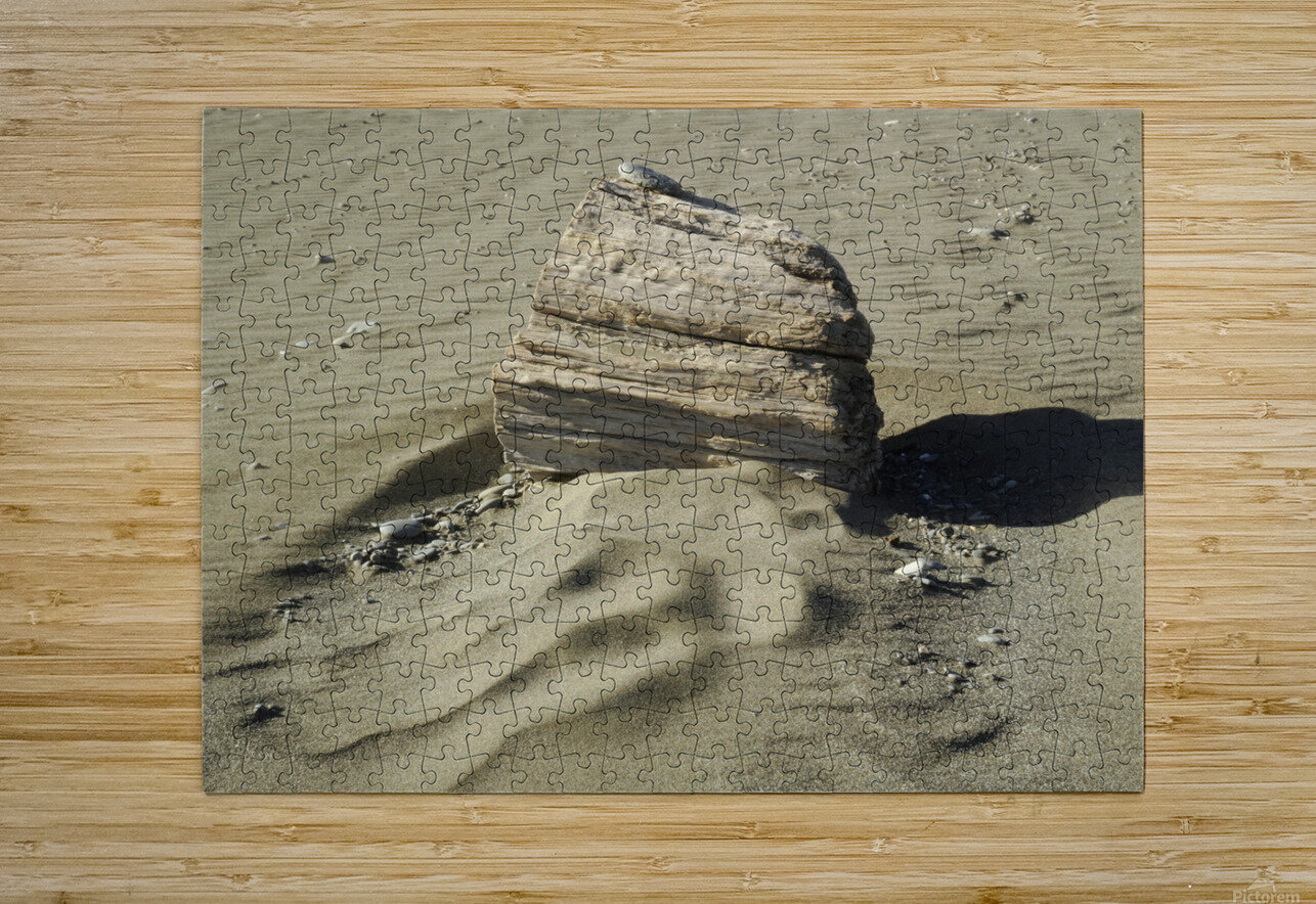 Beach Sculpture Fred Pierson Images Puzzle printing