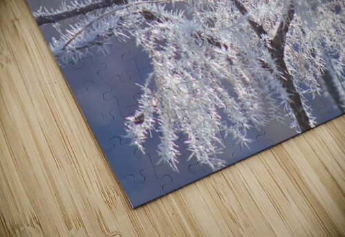 Frozen Fantasy Fred Pierson Images puzzle