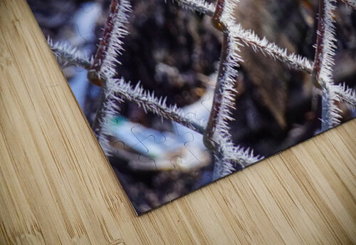 Icy Wire Fence Fred Pierson Images puzzle