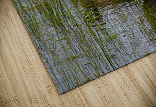 Canada Geese Fred Pierson Images puzzle