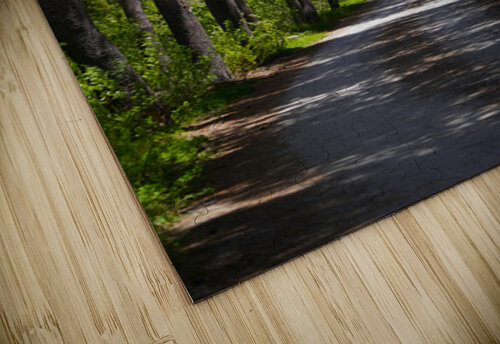 Country Road Fred Pierson Images puzzle