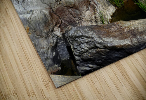 Cliff Sculpture Fred Pierson Images puzzle