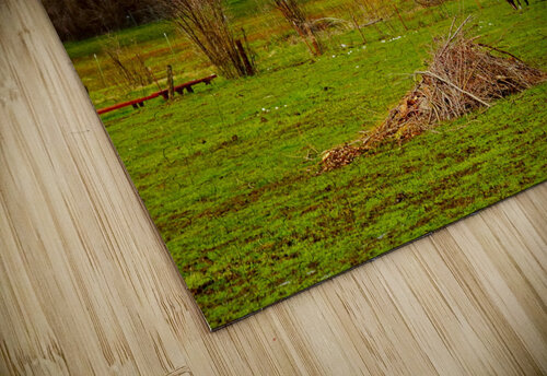 Horse Country Fred Pierson Images puzzle