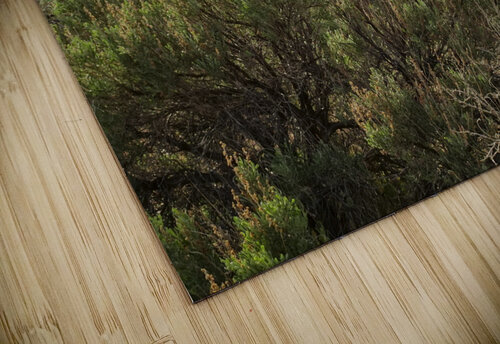 Paiute Country Fred Pierson Images puzzle