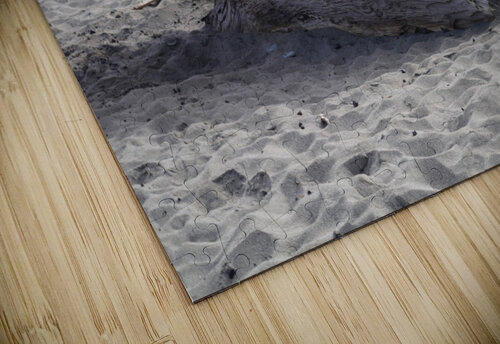 Driftwood Fred Pierson Images puzzle