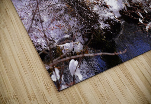 Strange Winter Venue Fred Pierson Images puzzle