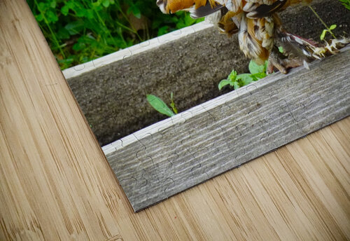 Rooster Strut Fred Pierson Images puzzle