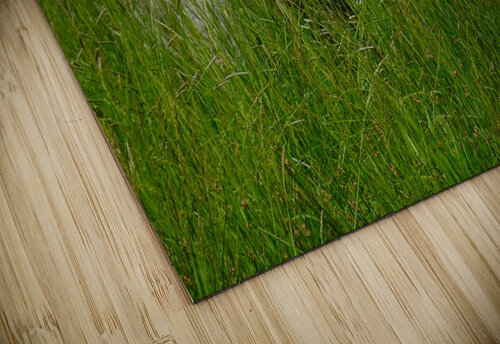 Pastoral Bliss Fred Pierson Images puzzle