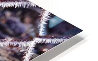 Icy Wire Fence HD Metal print