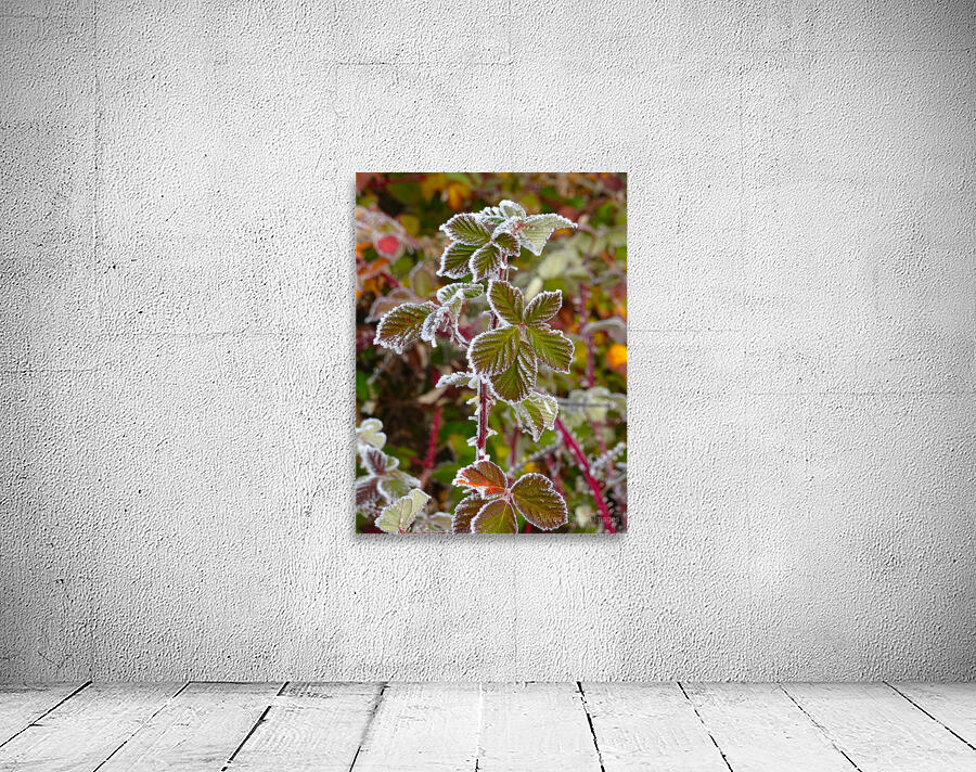 Iced Leaves Wall Preview