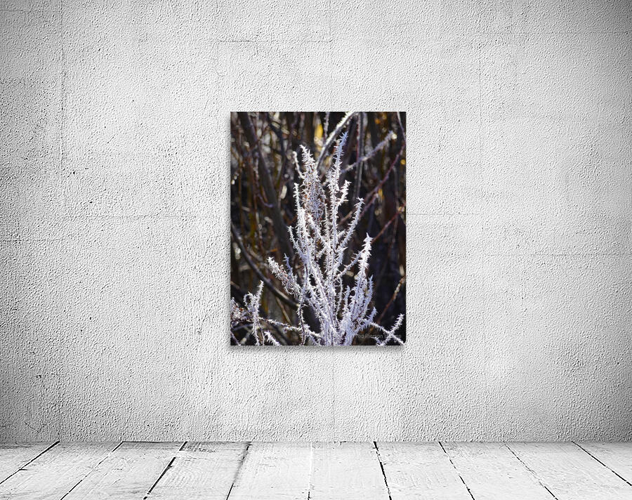 Hoar Frost Wall Preview