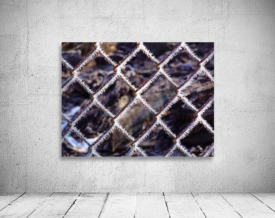 Icy Wire Fence Wall Preview