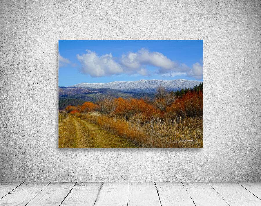 American Valley Freeway Wall Preview