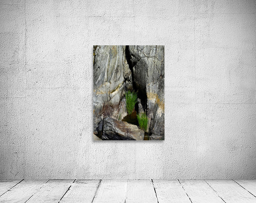 Cliff Sculpture Wall Preview