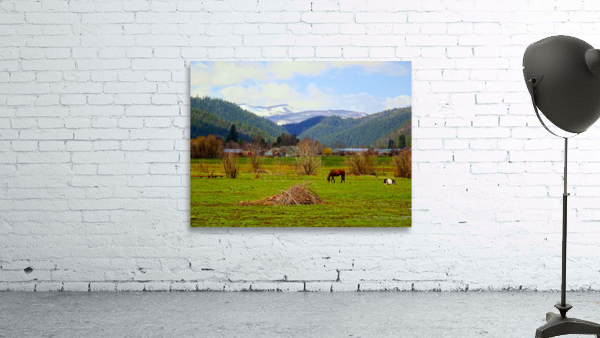 Horse Country Wall Preview