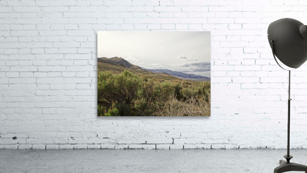 Paiute Country Wall Preview