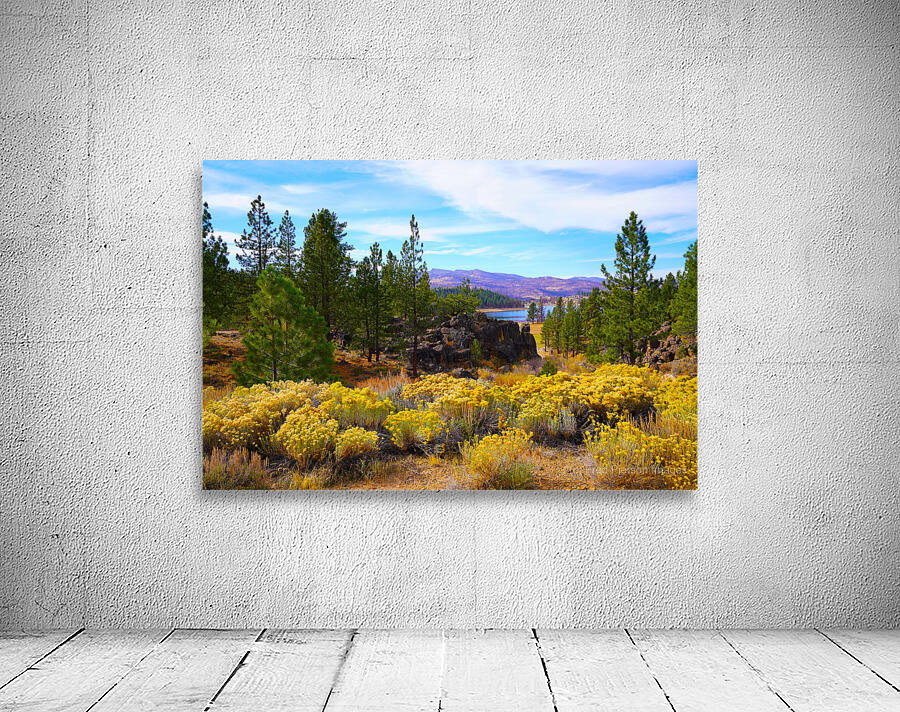 Frenchman Lake Wall Preview