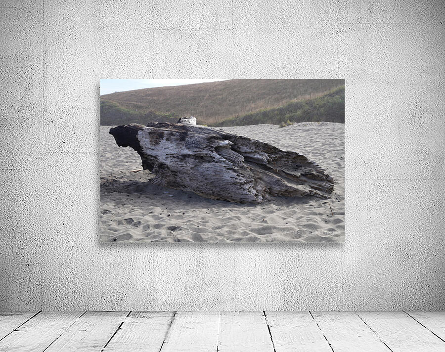 Driftwood Wall Preview