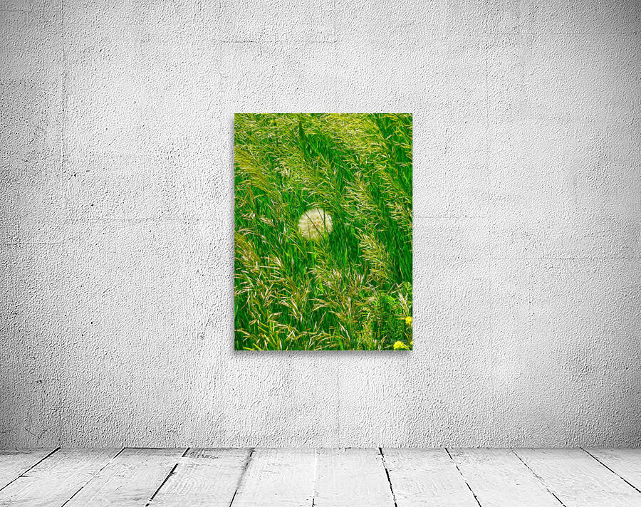 Veiled Gossamer Wall Preview