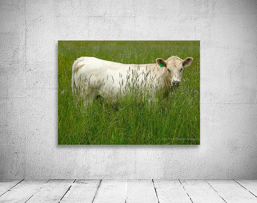 Pastoral Bliss Wall Preview