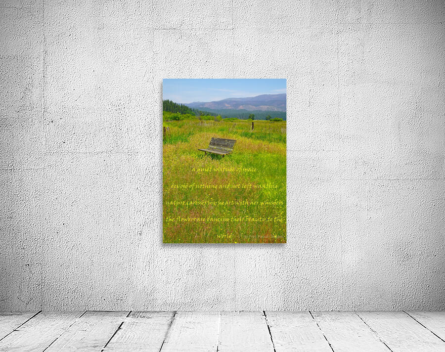 Solitude Wall Preview