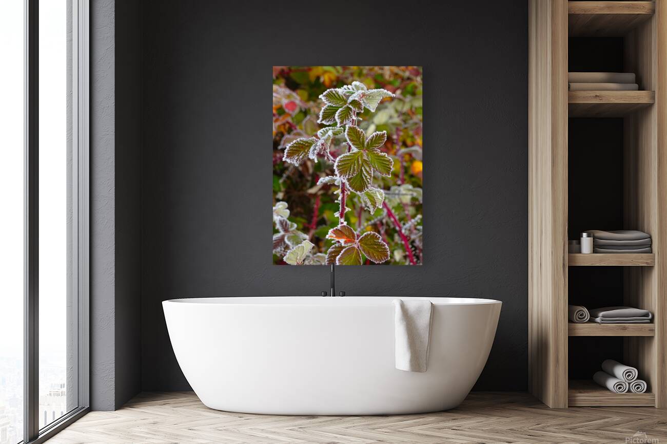 Iced Leaves Reproduction