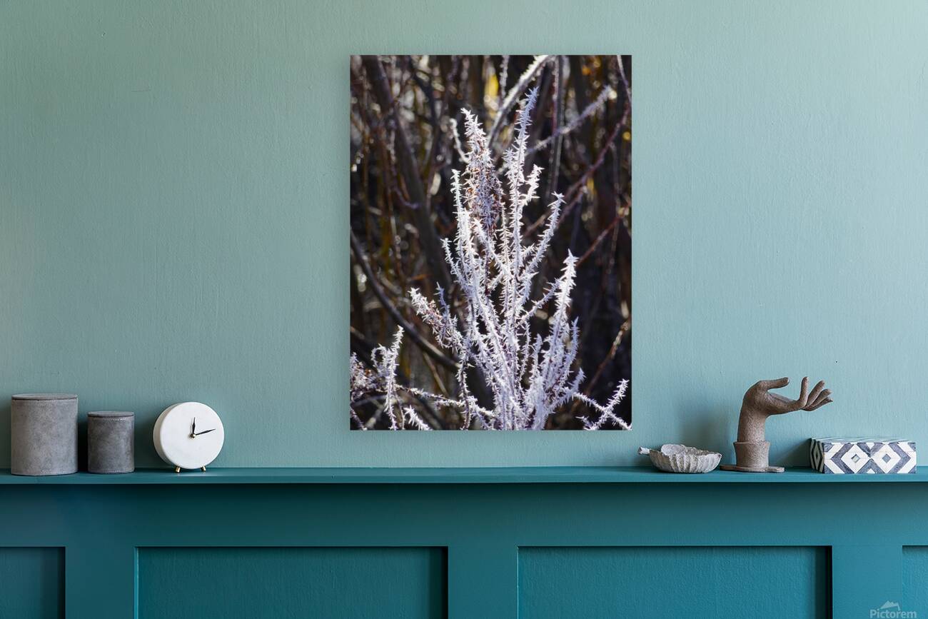 Hoar Frost Reproduction