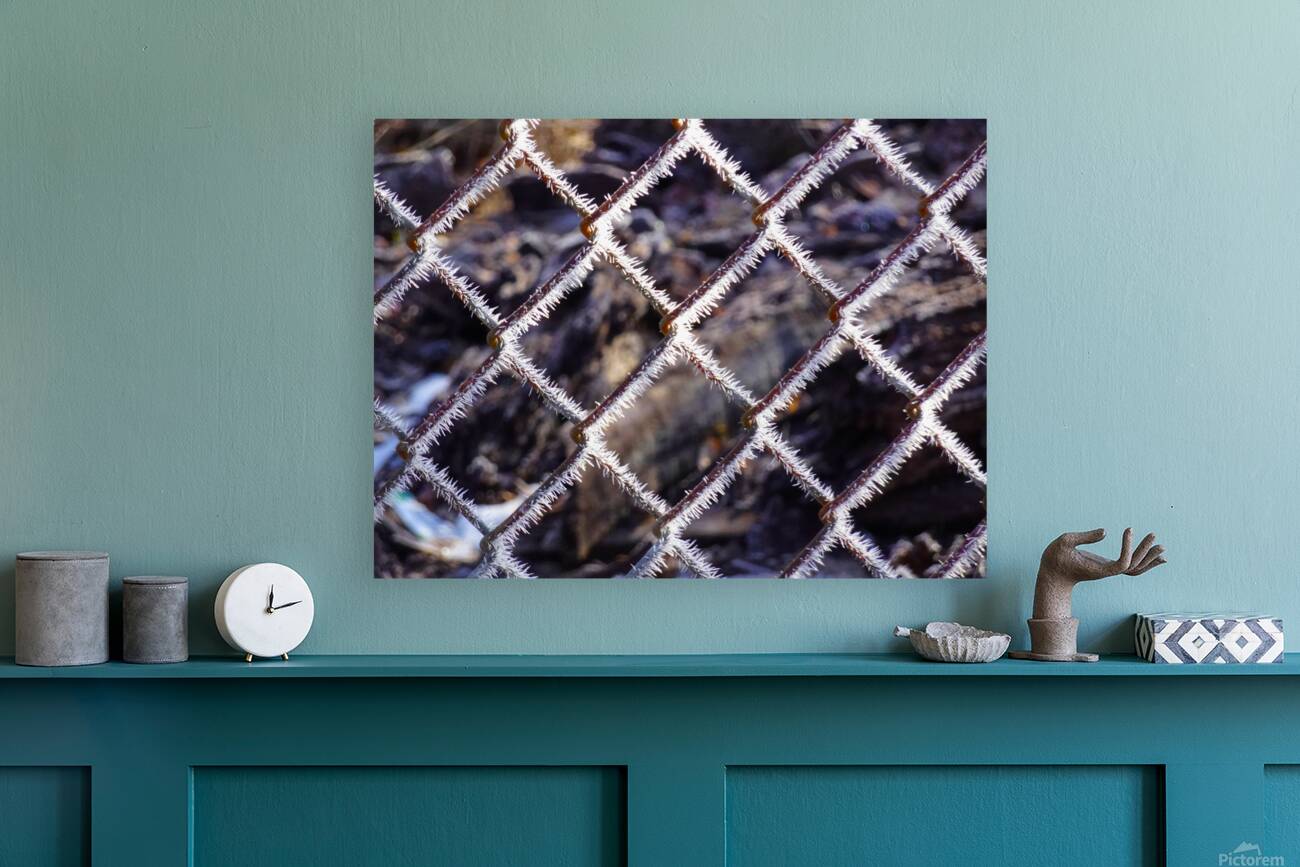 Icy Wire Fence Reproduction