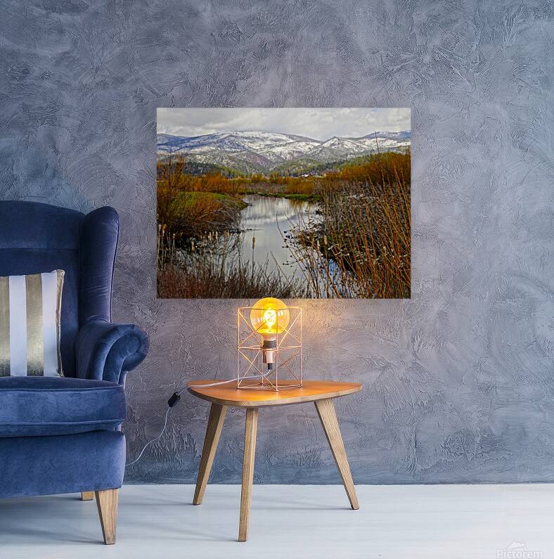 Fall into Winter Reproduction