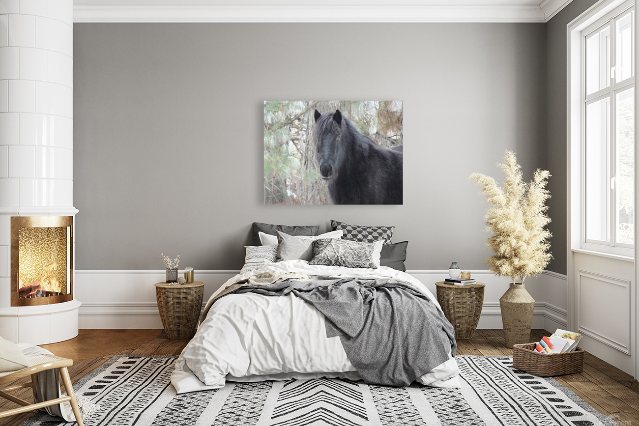 Mysterious Black Fell Pony Reproduction