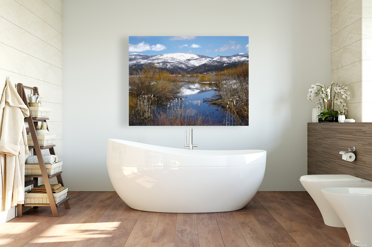 American Valley Winter Reproduction