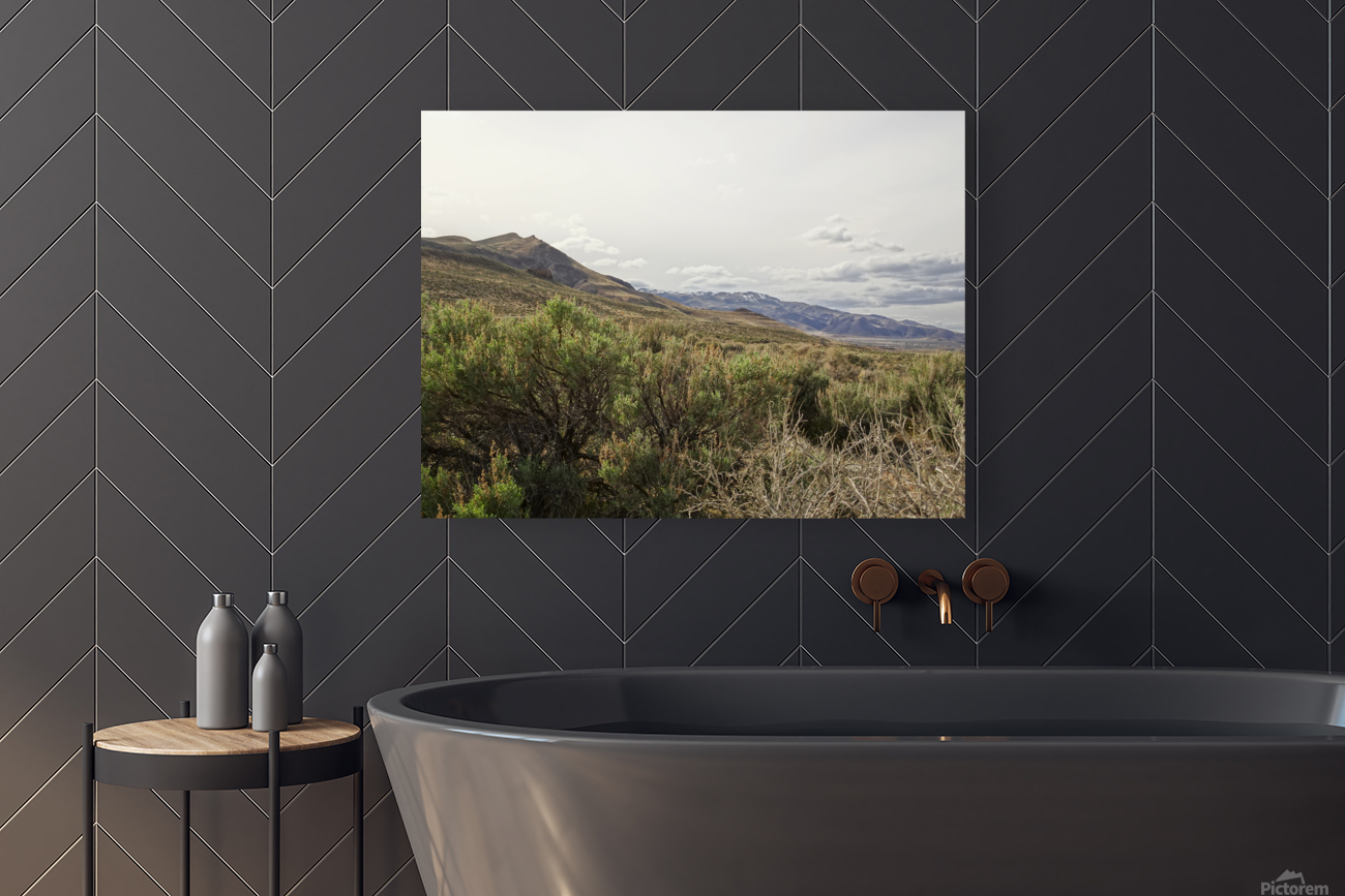 Paiute Country Reproduction