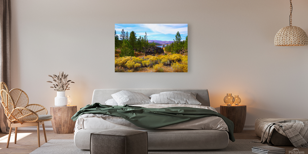 Frenchman Lake Reproduction