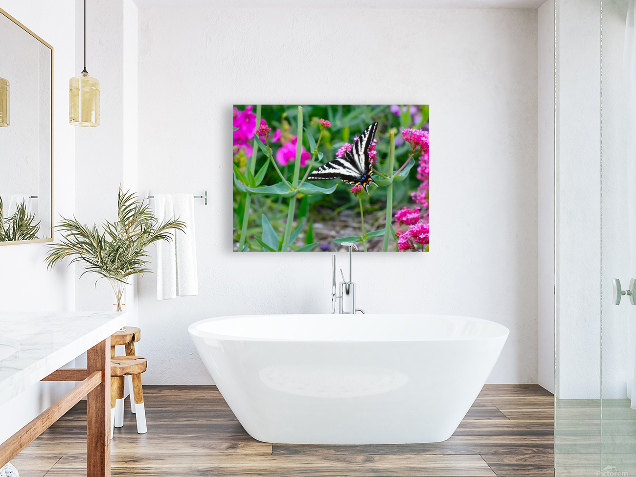 Pale Swallowtail Reproduction