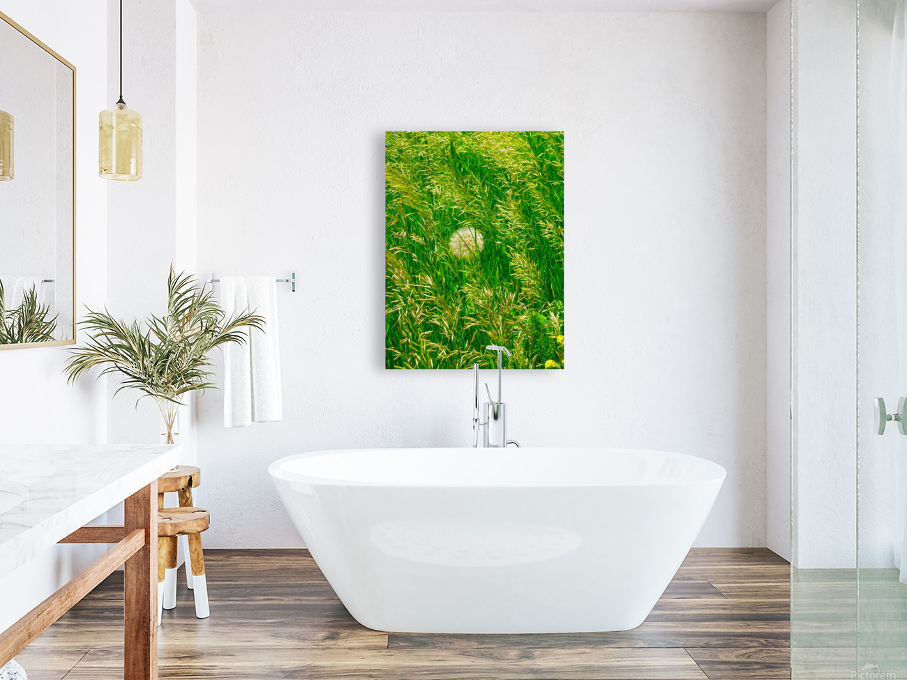 Veiled Gossamer Reproduction