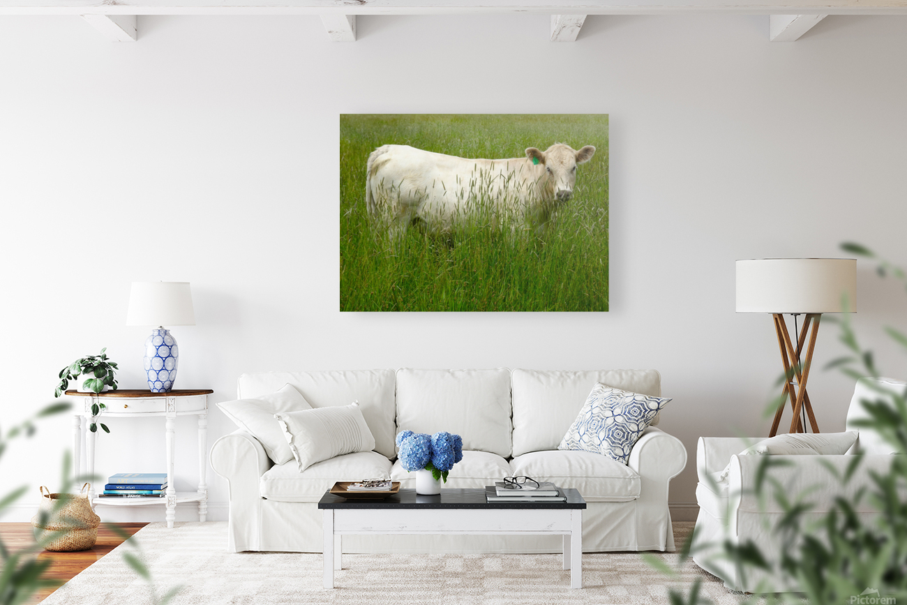 Pastoral Bliss Reproduction