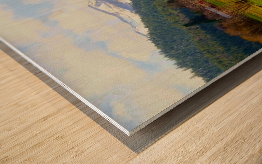 Horse Country Wood print