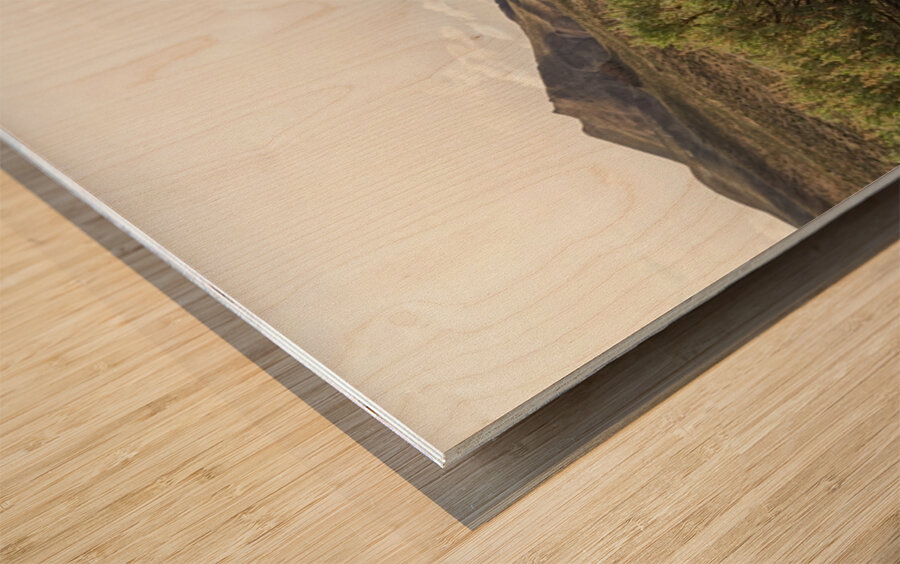 Paiute Country Wood print