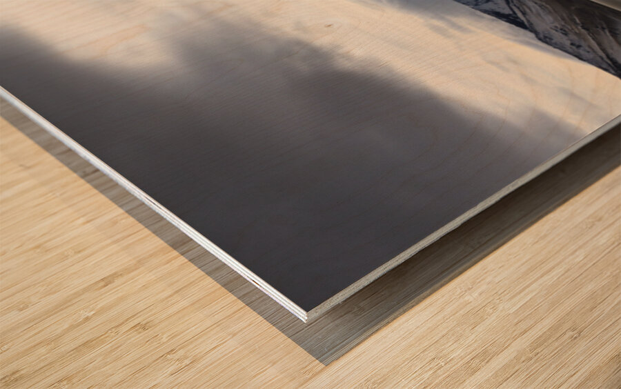 Lake Abert Wood print