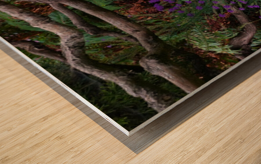 Stone Crane in Foliage Wood print