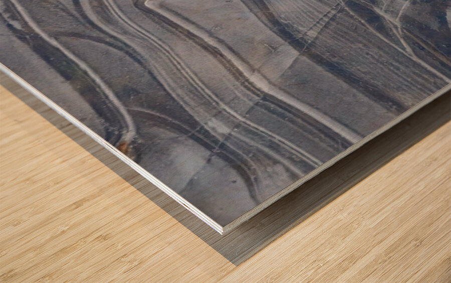 Ice Sculpture Wood print